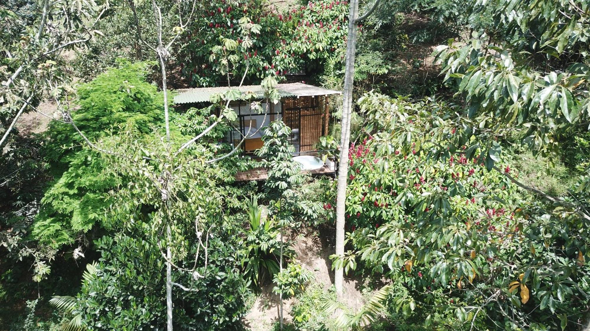 Calarcá Ecohotel Alma מראה חיצוני תמונה