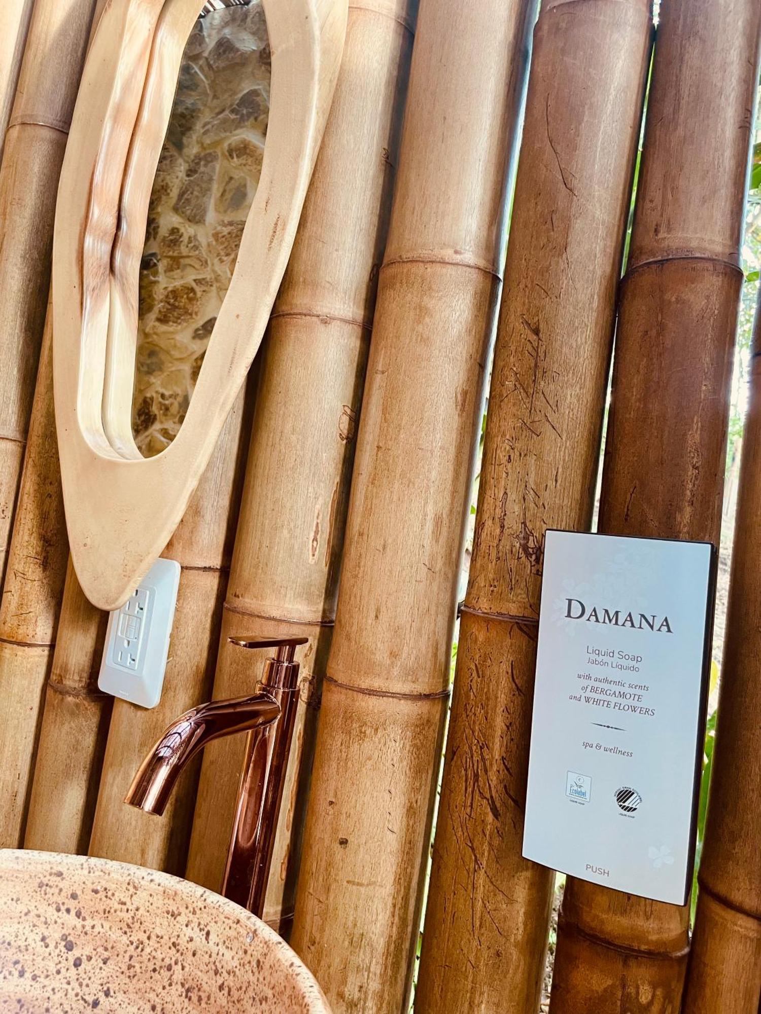 Calarcá Ecohotel Alma מראה חיצוני תמונה